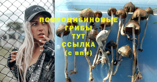 синтетический гашиш Абдулино