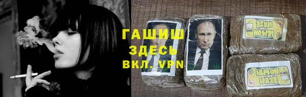 шишки Абаза