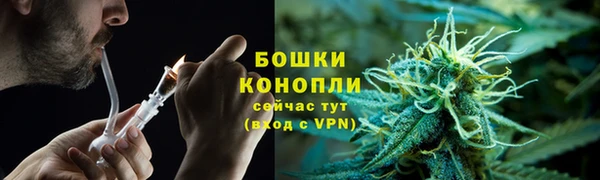 шишки Абаза