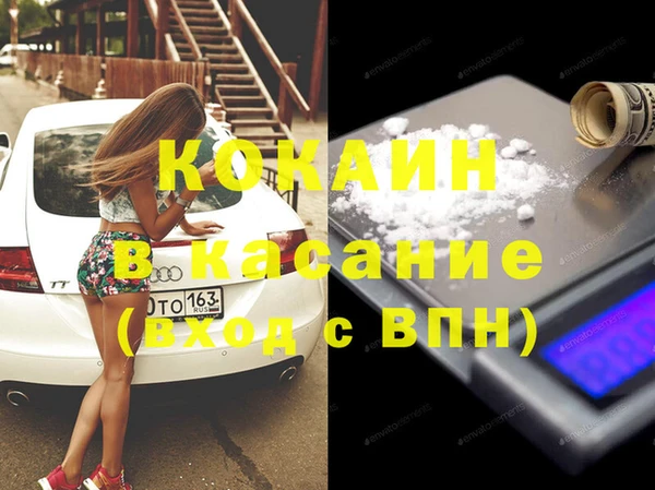 шишки Абаза