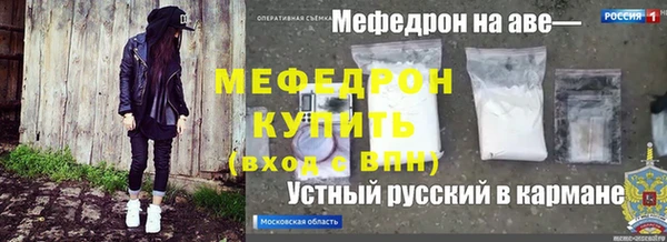 шишки Абаза