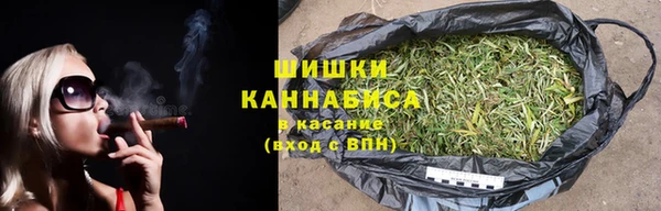 шишки Абаза
