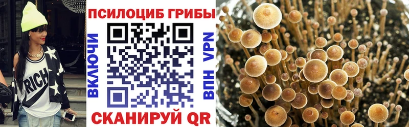 купить наркоту  Агрыз  Псилоцибиновые грибы MAGIC MUSHROOMS 